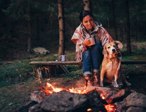 Trails and Tails: DO’s and DON’Ts for Hiking and Camping With Your Dog