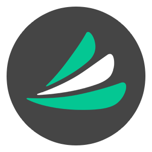 rabbit in the outdoors