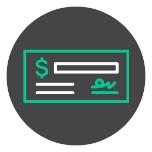 rabbit in the outdoors