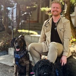 Vet doing a wellness exam on a little dog.