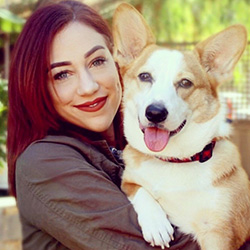 Vet doing a wellness exam on a little dog.