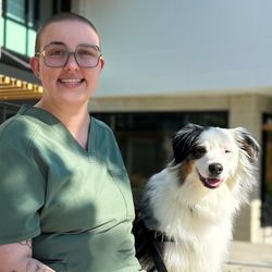 Vet doing a wellness exam on a little dog.