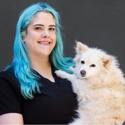 Vet doing a wellness exam on a little dog.