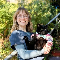 Vet doing a wellness exam on a little dog.